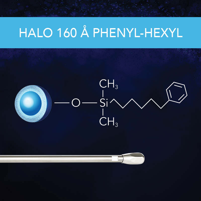 HALO 160 Å Phenyl-Hexyl
