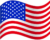 USA usa flag