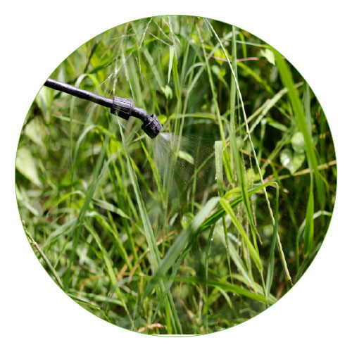 hplc analysis of herbicides