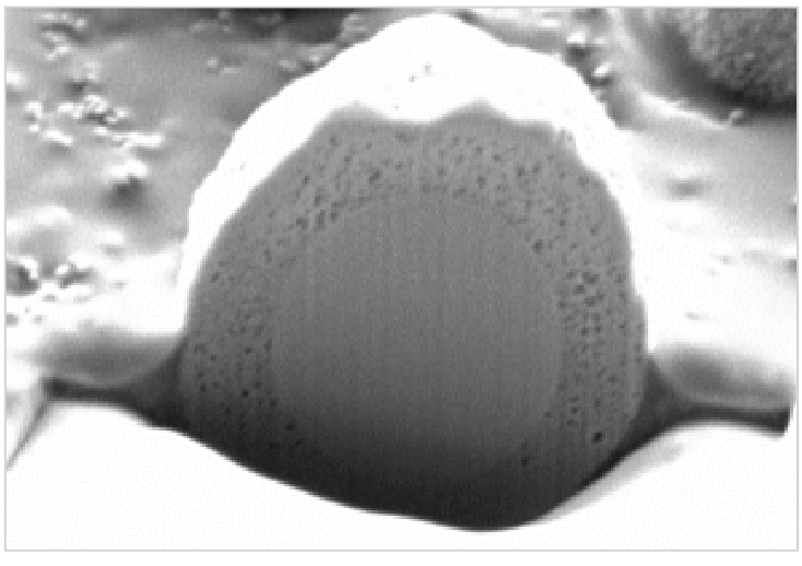 Halo27-photo FIB – SEM image of first commercial HALO® particle with 2.7 µm total size consisting of a 1.7 µm solid silica core and a 0.5 µm shell.