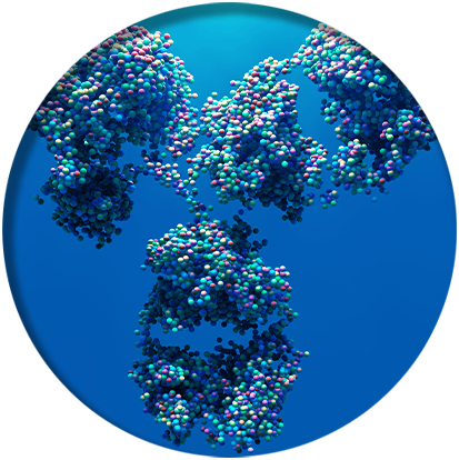 bioclass-circle lc column for biopharma solutions