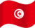 tunisia tunisia flag