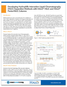 AMT-WhitePaper-Shadow