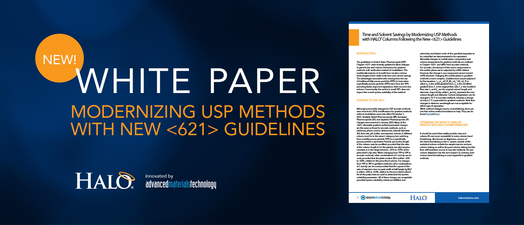 New USP Guideline White Paper