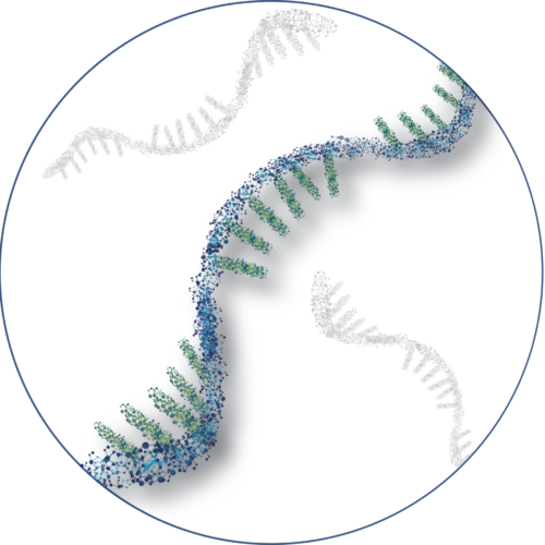 Oligo circle graphic Oligo circle graphic