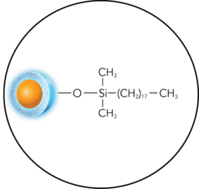 ELEVATE-C18-structure-circle ELEVATE-C18-structure-circle