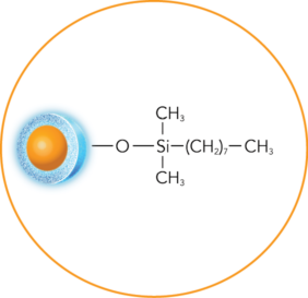 ELEVATE-C8-structure-circle ELEVATE-C8-structure-circle
