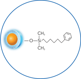 ELEVATE-PH-structure-circle ELEVATE-PH-structure-circle