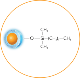 ELEVATE-C8-structure-circle-282x273
